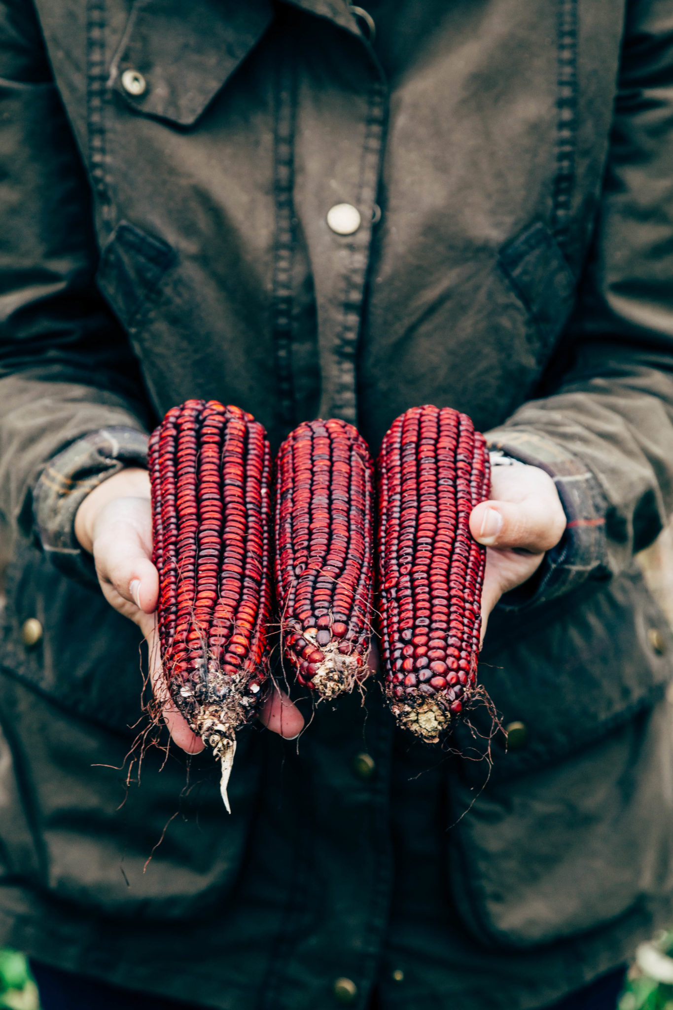 A Taste of Place: Whiskey as Food | Southern Foodways Alliance - Southern Foodways Alliance