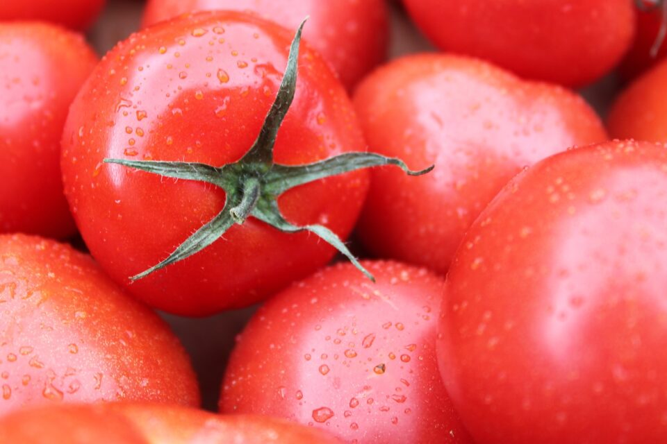 Tomaten - die wichtigsten Fakten - speisekarte.de - Der Foodblog