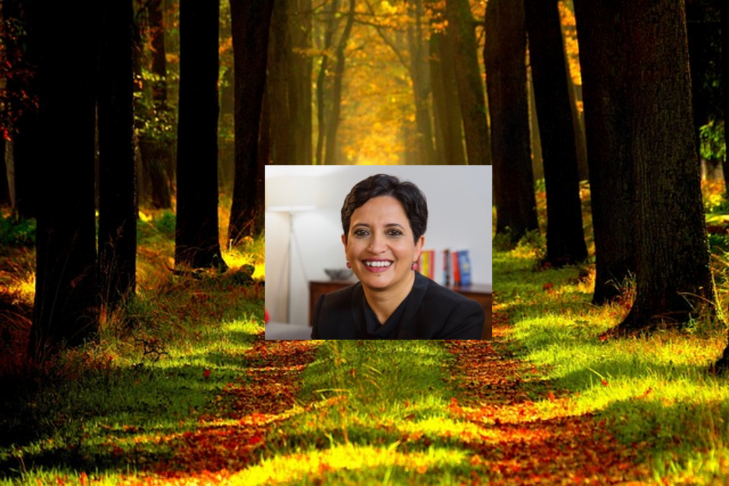 1Mby1M Udemy Courses with Sramana Mitra: Bootstrapping - Sramana Mitra