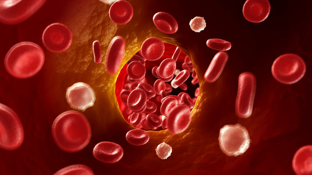 Jewish grandma's DNA may hold key to treating heart disease