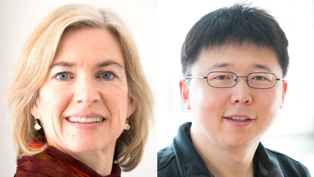 In the CRISPR patent fight, the Broad Institute gains edge