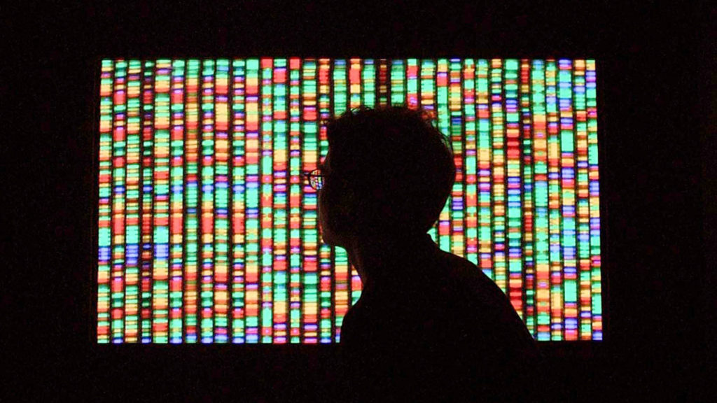 Here's what we could really learn from a synthetic human genome
