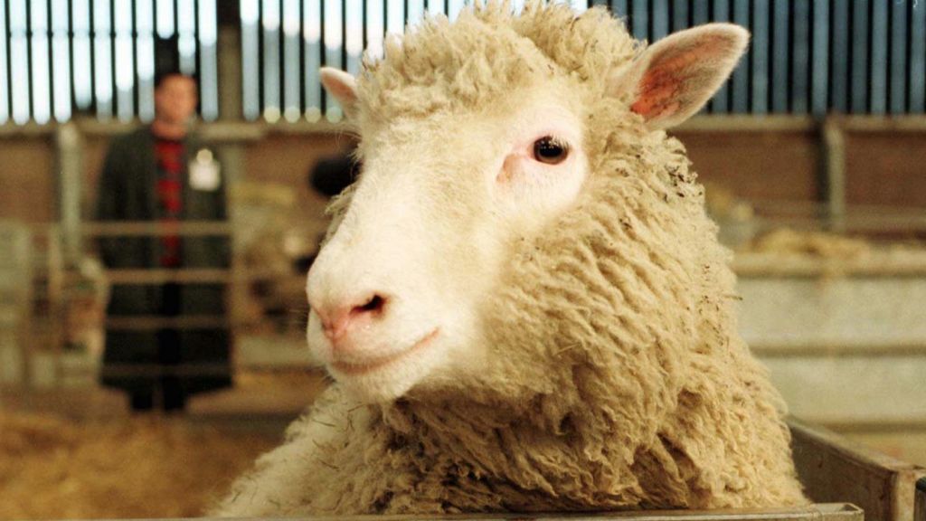 Cloning humans is technically possible. It's curious no one has tried | STAT