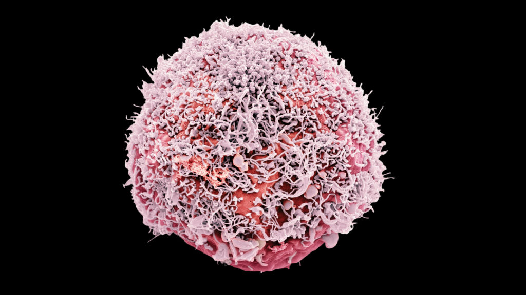 FDA weighs crackdown that could shut stem cell clinics