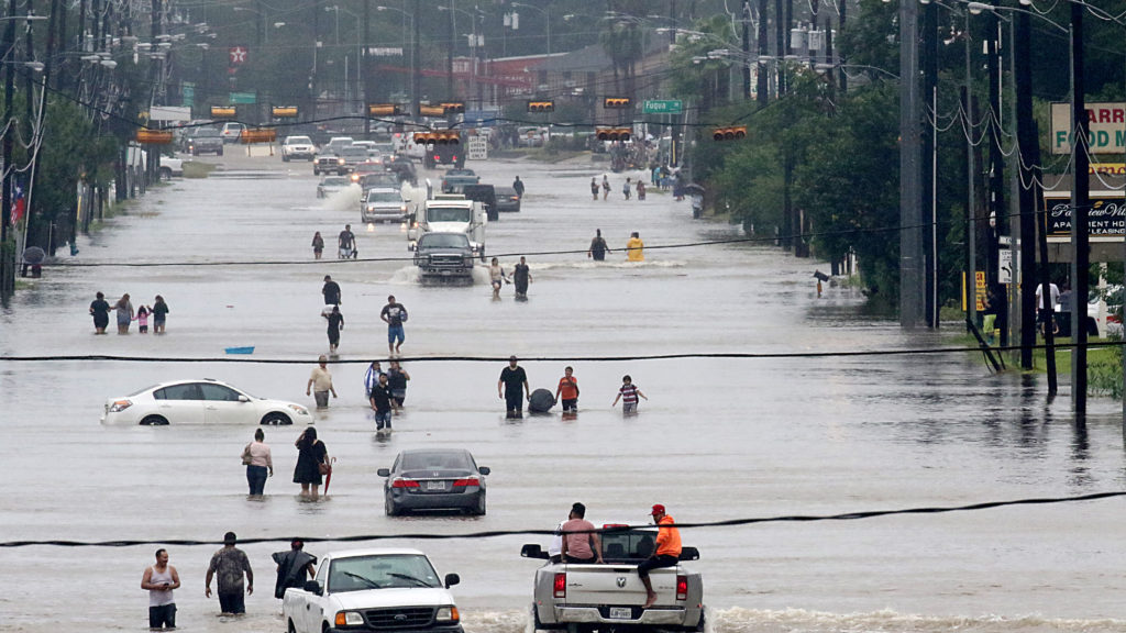 Harvey flooding engulfs MD Anderson Cancer Center, canceling treatments
