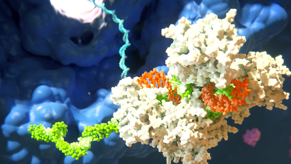 FDA approves Alnylam’s Givlaari, second-ever drug based on RNAi | STAT