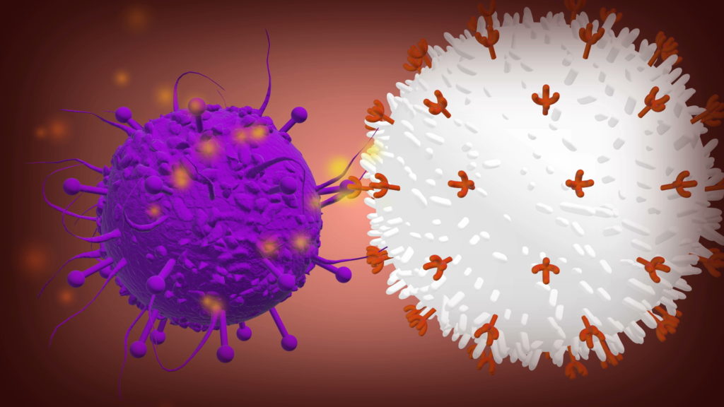 CAR-T is a personalized attack on cancer. Here's how it works