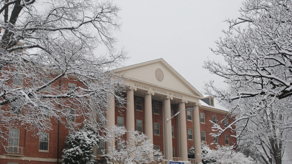 Women need to be equally represented in NIH study sections | STAT