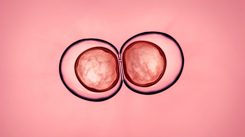 Congress weighs dropping ban on altering DNA of human embryos | STAT