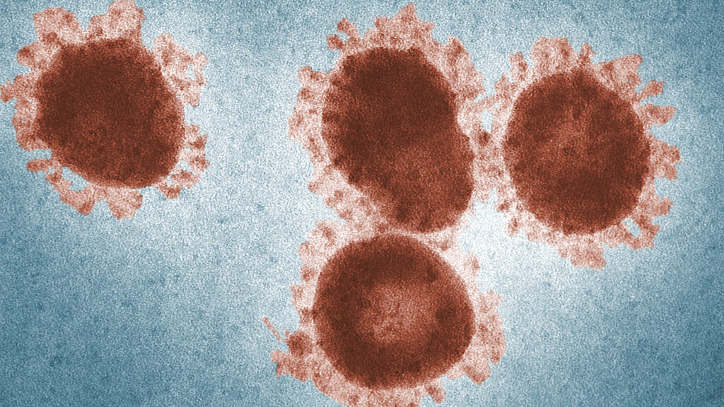 Fluctuating funding and flagging interest hurt coronavirus research | STAT