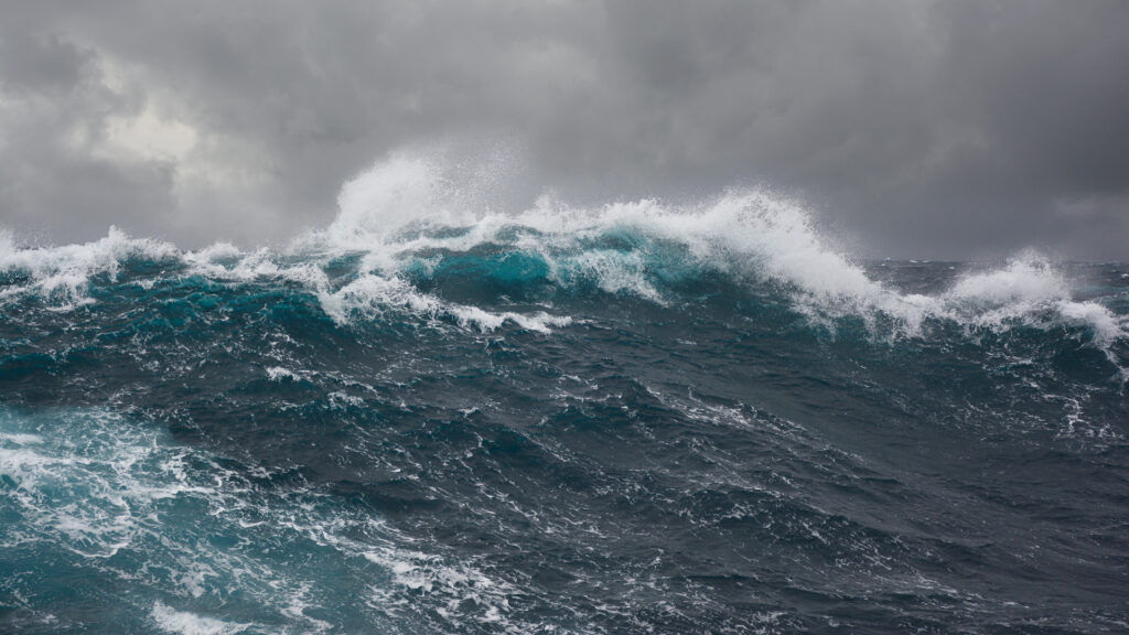 With Covid-19, we've made it to the life raft. Dry land is far away | STAT