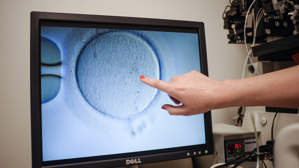 Are infertility treatments 'essential' during the Covid-19 pandemic? | STAT