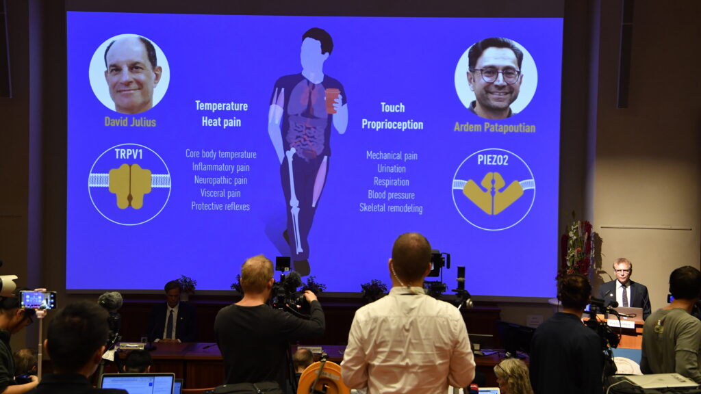 Scientists win Nobel in medicine for how we sense temperature and touch