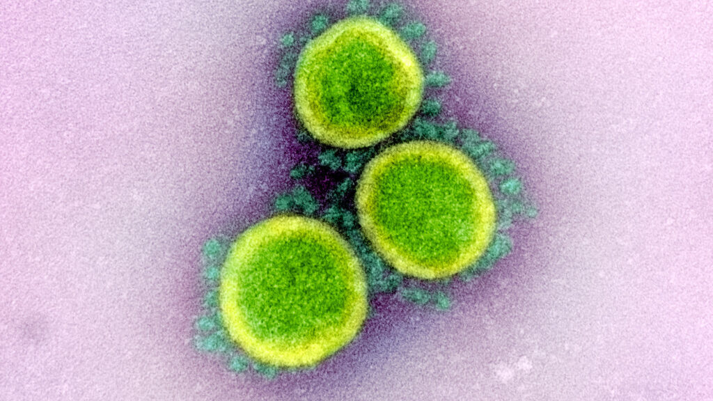 White House moves to develop next-gen Covid-19 vaccines - STAT