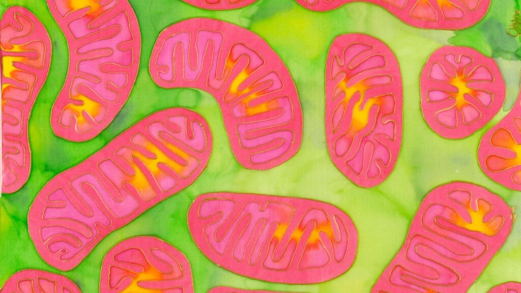 Congress should allow mitochondrial replacement to move forward | STAT