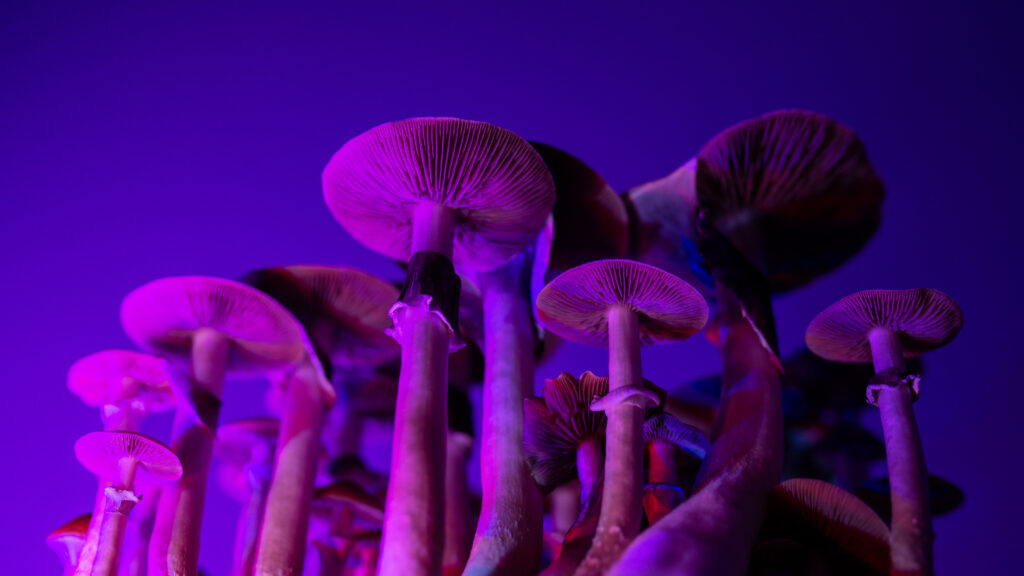 New depression drugs are bringing hope to a long-stagnant field