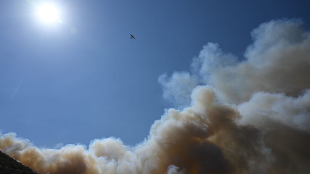 Long-term exposure to wildfire smoke particulates linked to dementia