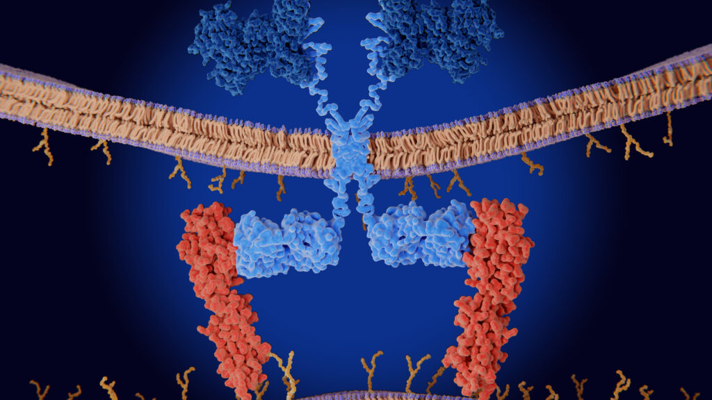 CAR-T cell therapy’s risks and benefits are becoming clearer