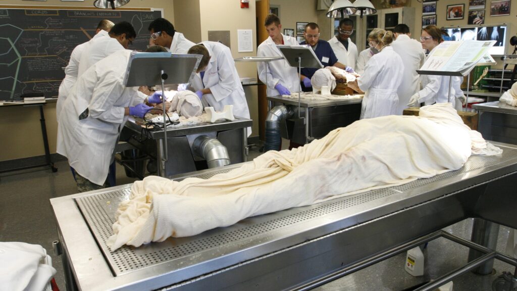 Medical schools must keep offering cadaver-based education | STAT