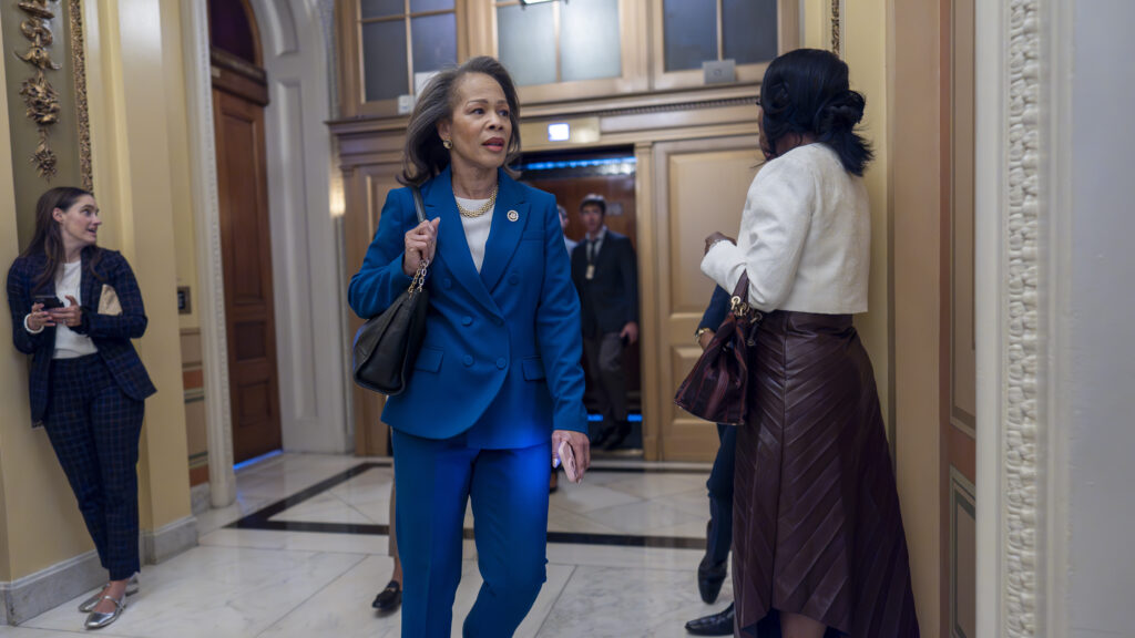 Blunt Rochester queries RFK Jr. on CDC acting director qualifications | STAT