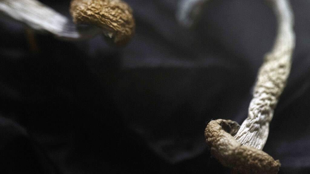 Compass Pathways' psilocybin depression trial meets goal | STAT