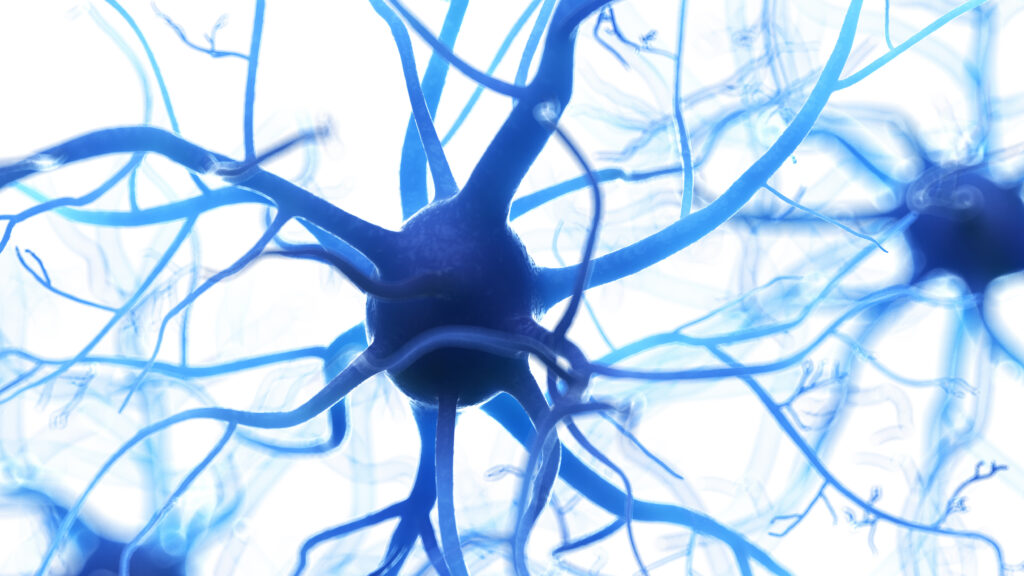 Researchers find clues linking ALS and autoimmune responses | STAT