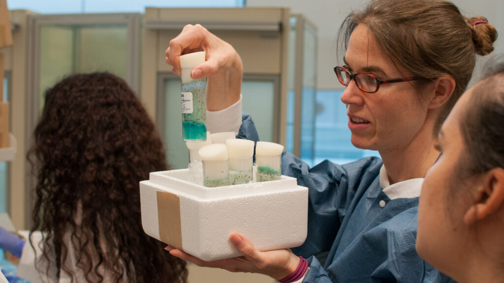 NIH grant policy hurt funding chances for early-career scientists | STAT