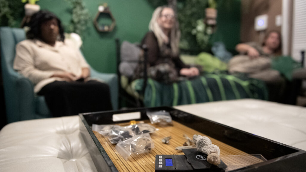 What I learned from psychedelics: The guides, not the drug, are key | STAT