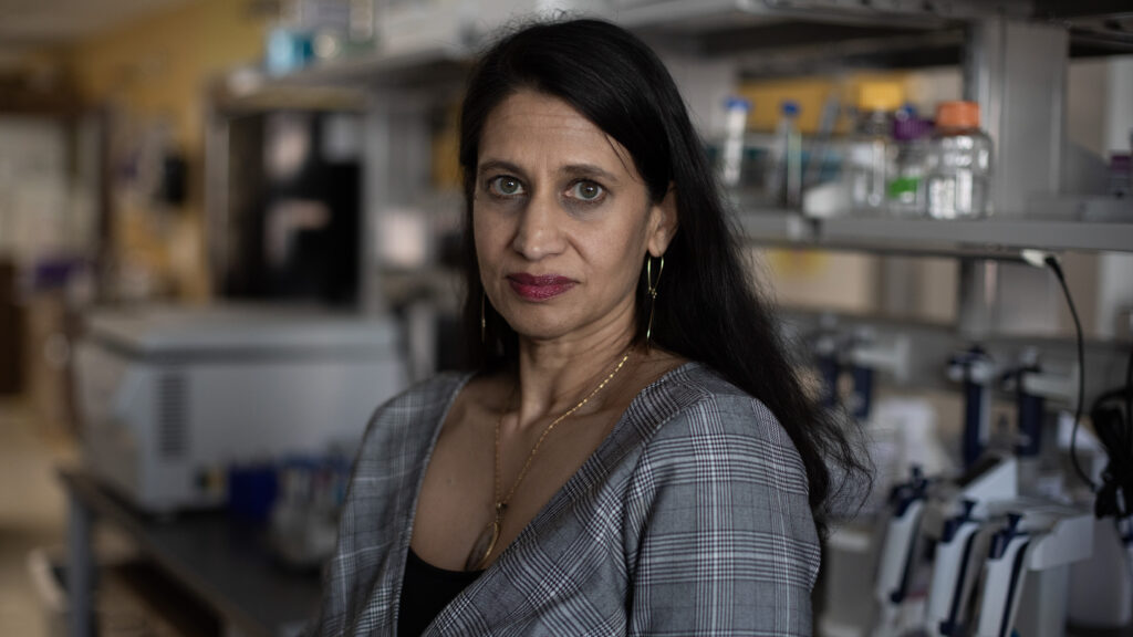 Young scientists rethink careers amid NIH funding disruptions | STAT