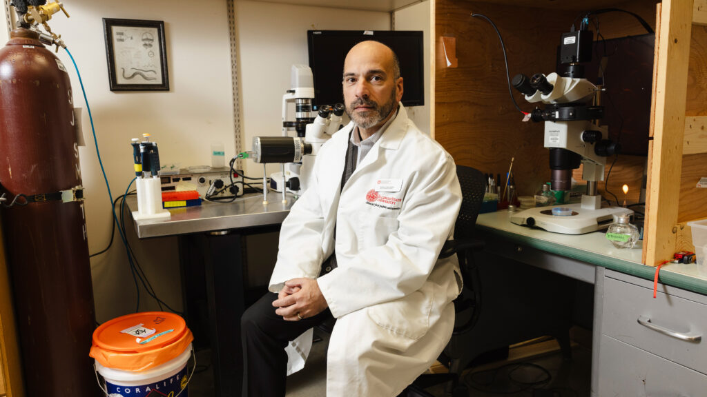 NIH funding survey shows sizable impact of foreign subaward ban | STAT