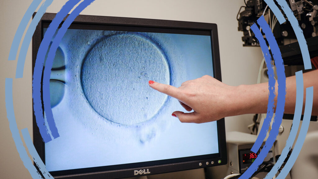 Human embryo models come with major ethical concerns | STAT