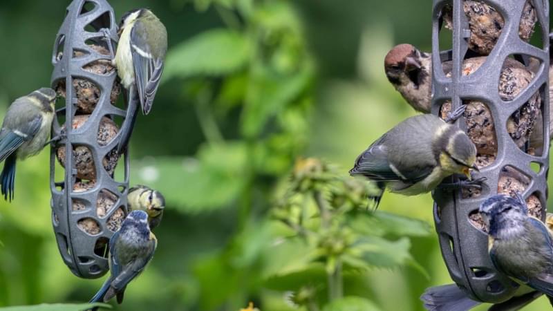 SAM: 100% recycled bird feeder | Stefan.Lu - product development & innovation