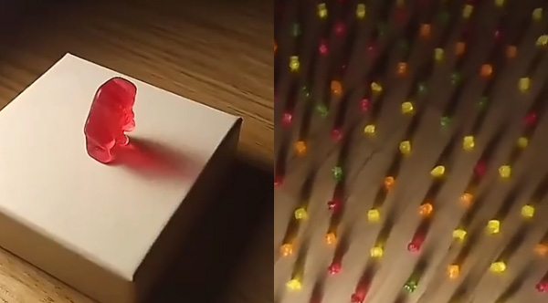 Man Recreates Adele Concert With Gummy Bears