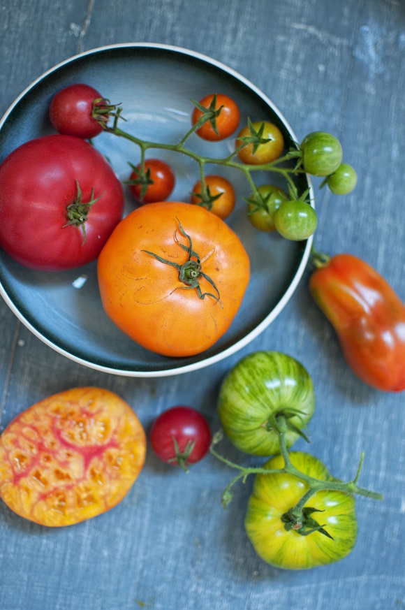 Comfort Zone - Sweet ReciPEAs