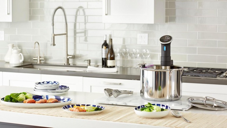 Testing The Anova Sous-Vide Machine