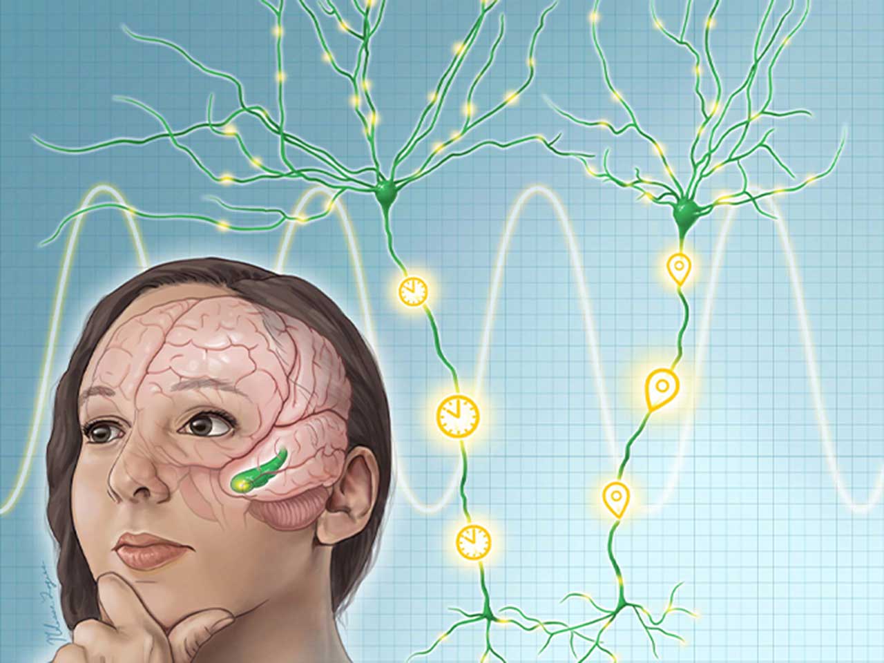 Study highlights how the brain encodes time and place into memories