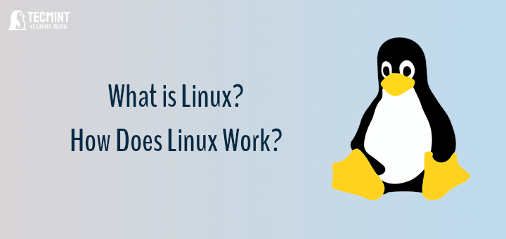 Introduction to Linux? and How Does Linux Work?