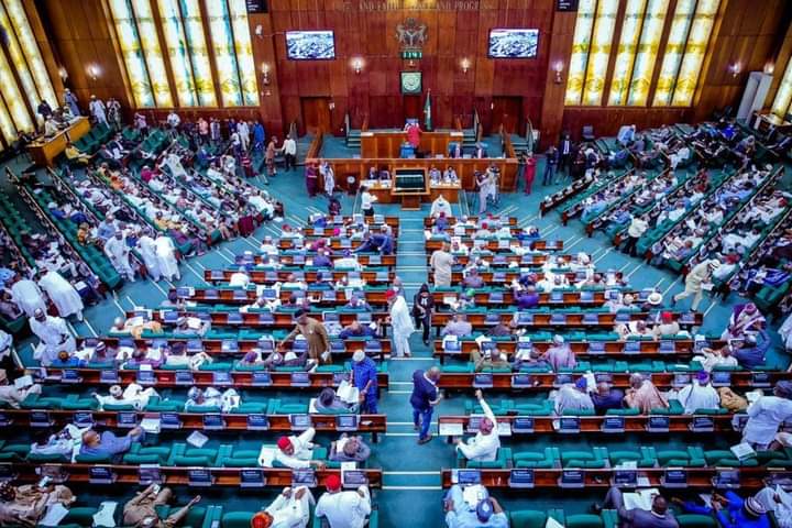 Gender bills rejected, independent candidacy greenlit... how n'assembly voted on constitution amendments | TheCable