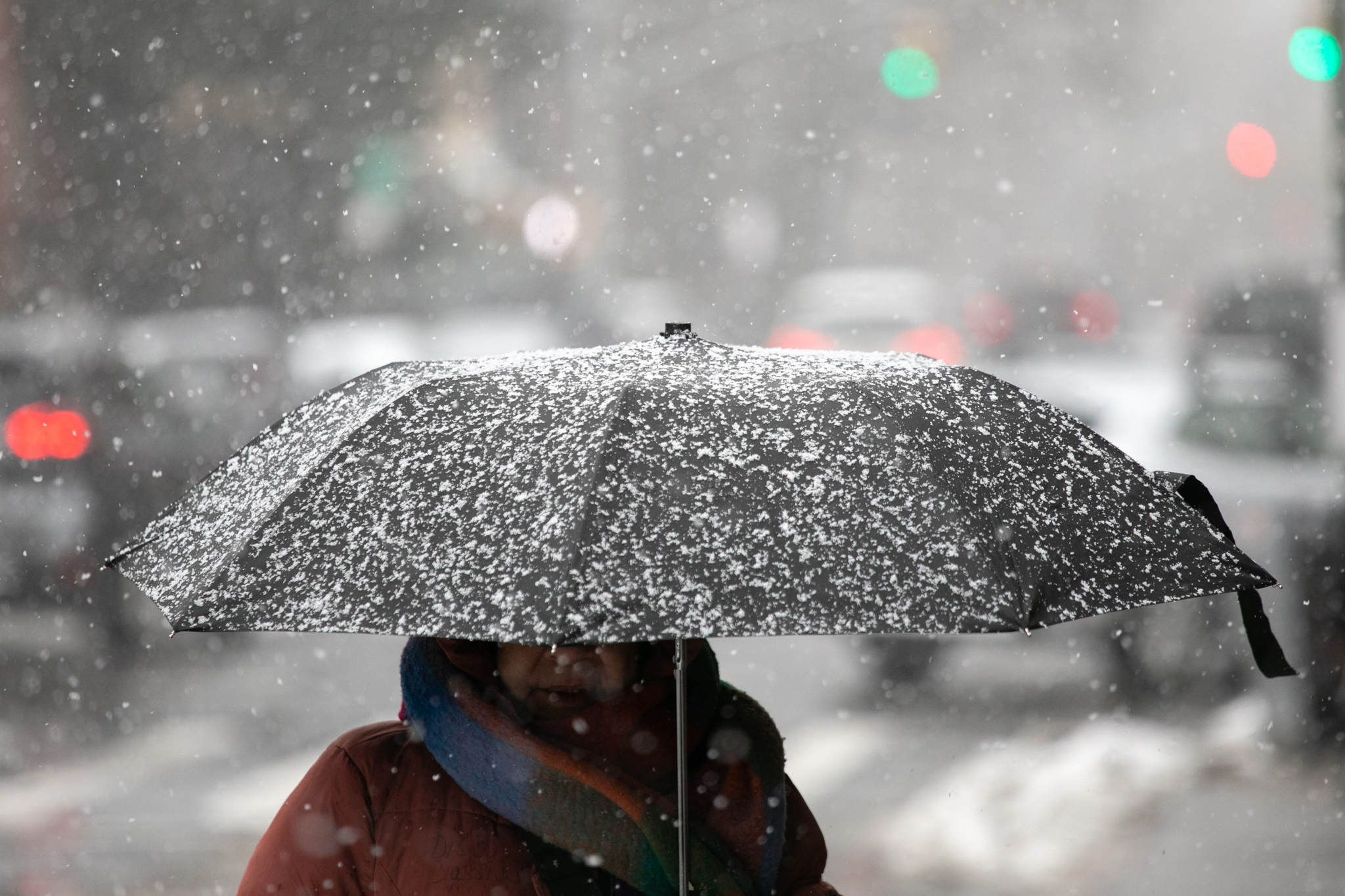 NYC Gets an Old School Snow Day as Blizzard Blasts Big Apple | THE CITY — NYC News