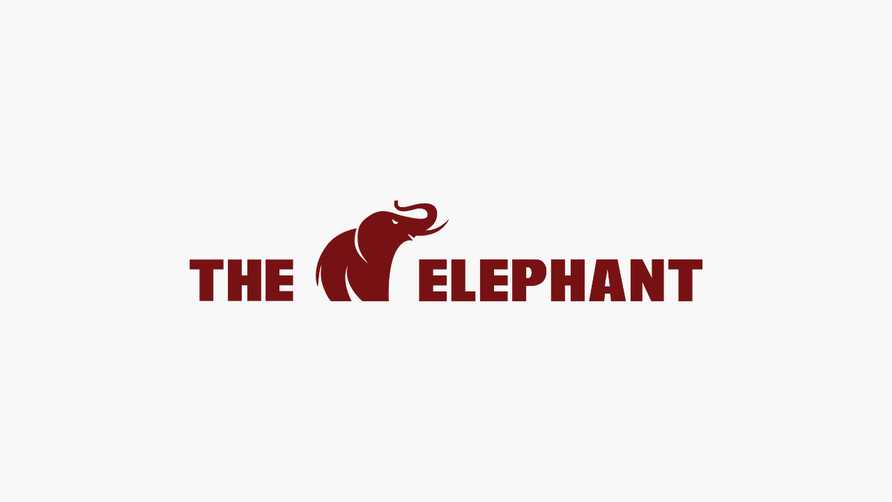 Join the Herd - The Elephant