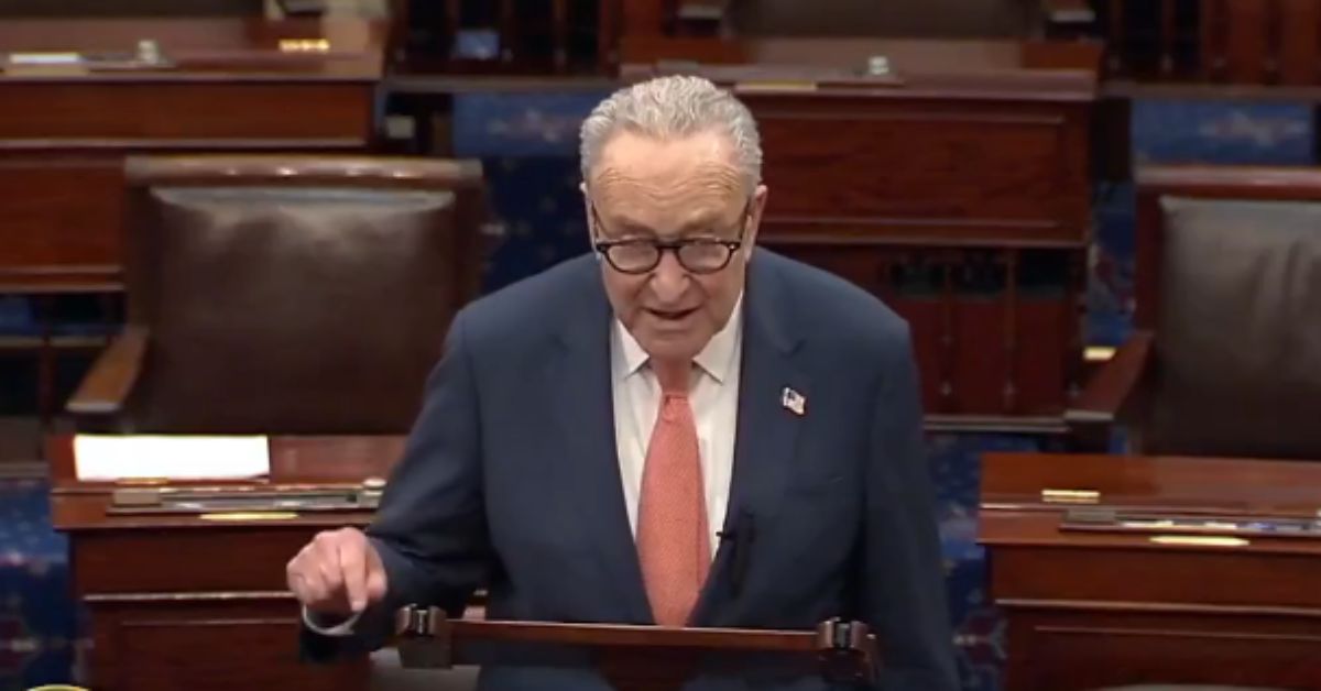 SCHUMER'S BLUNDER GOES VIRAL: 'We Must Fund ICE!' Dem Leader Blurts Out the Words He's Been Blocking All Along (VIDEO) | The Gateway Pundit | by Cassandra MacDonald