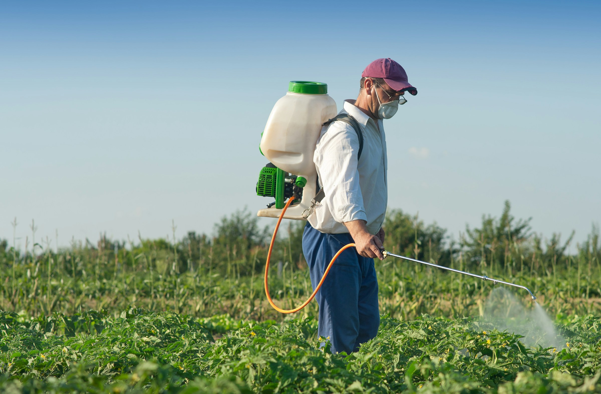 Even when EPA finds a pesticide cancer risk, agency rarely requires warnings - The New Lede