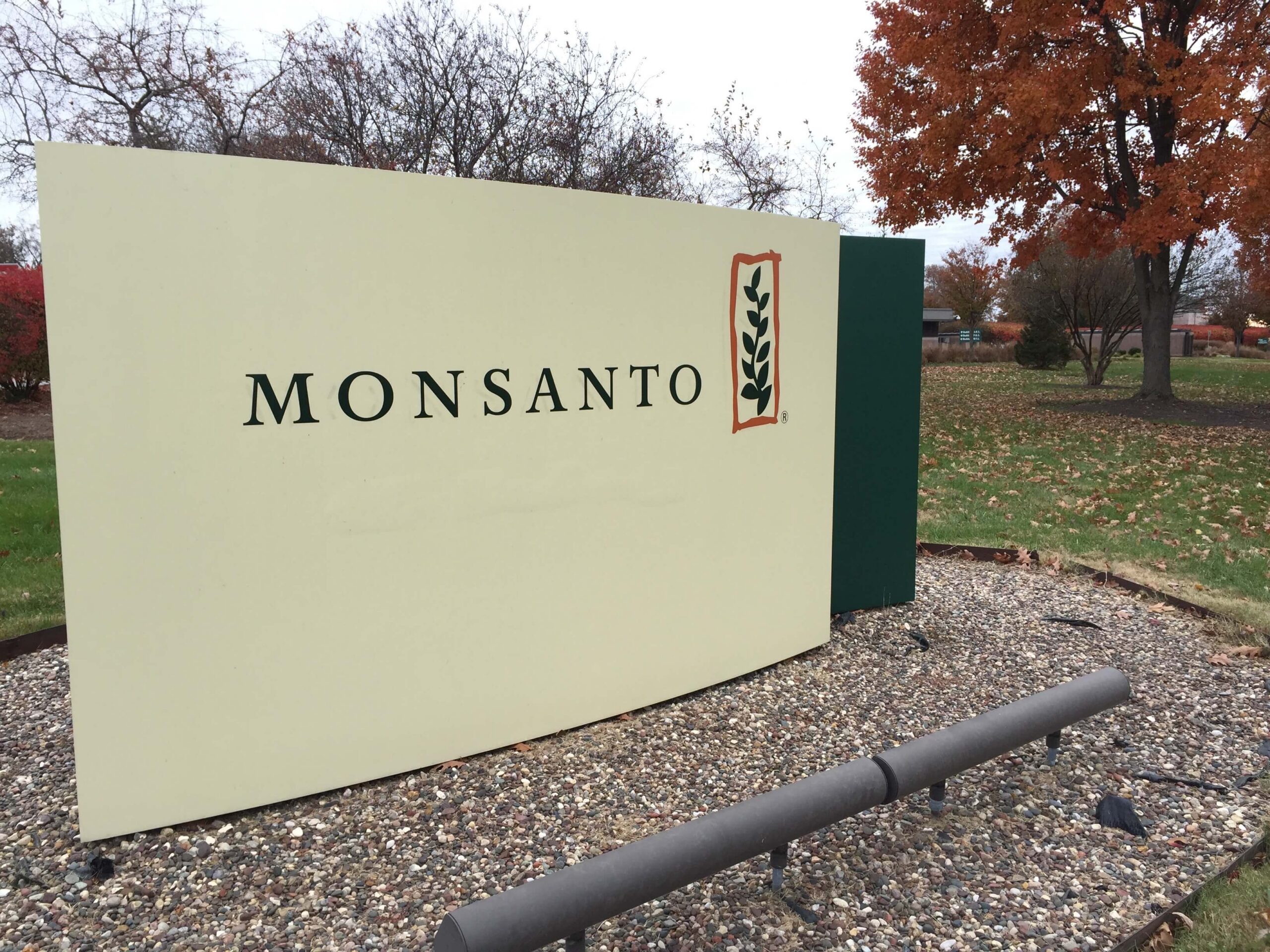 Monsanto's big moment – All eyes on Supreme Court hearing over pesticide law - The New Lede