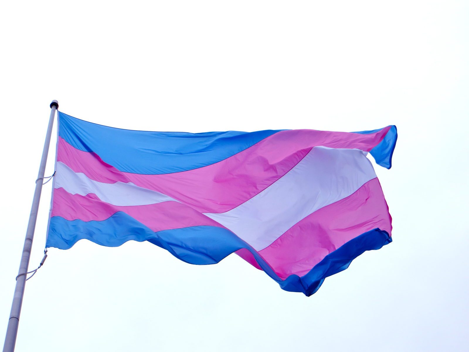 What is a TERF? Debate over transgender rights and Gender Recognition Act explained | PinkNews