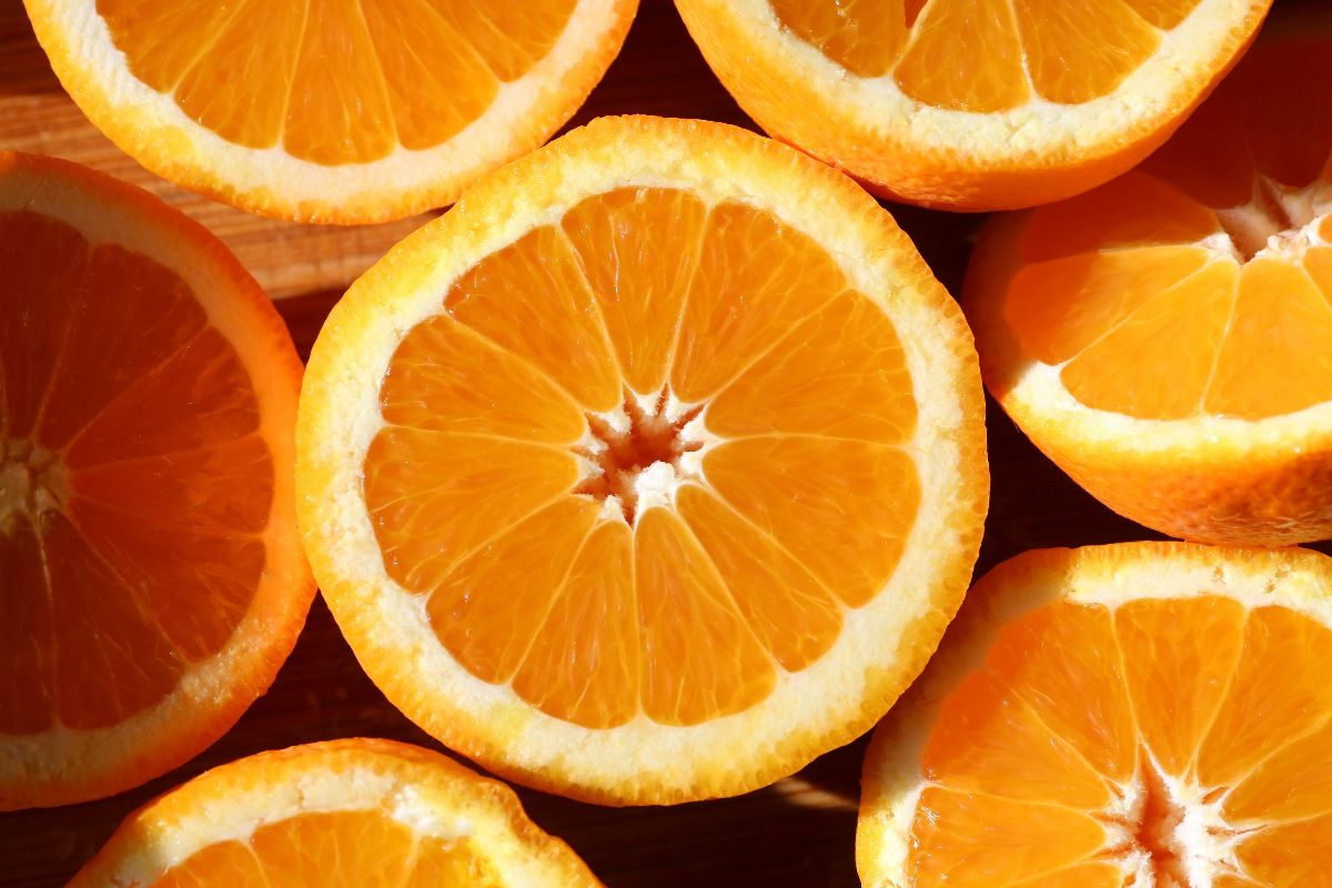 'Big smiles on the farm' as US ends tariffs on South African oranges