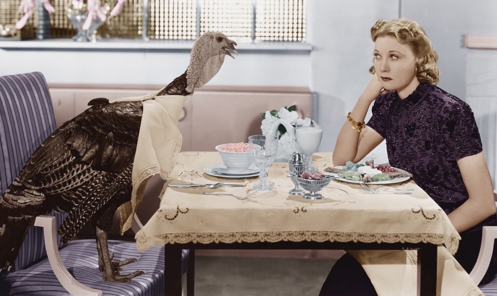 Nine Ways to Enjoy a Fact-based Gun Debate With Your Thanksgiving Feast