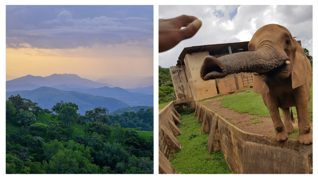 An INSIDER’S guide to Nigeria’s BEST national parks