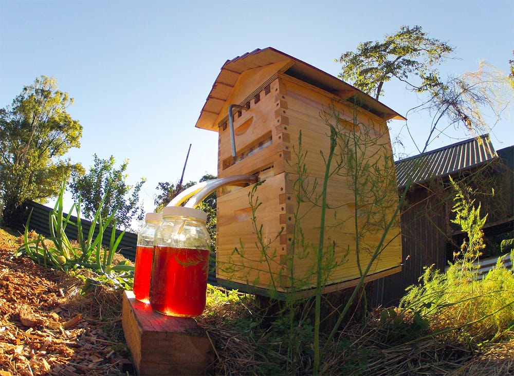 Honey on Tap: A New Beehive that Automatically Extracts Honey without Disturbing Bees — Colossal