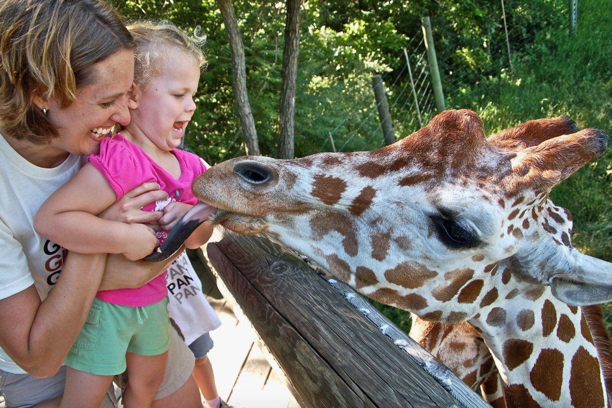 A Former Teacher's Unschooling Reflections After 11 Years (No Regrets) - This Simple Balance