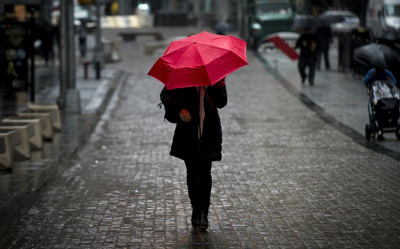 Female CEOs more likely to face activists, dismissal; defenses needed - Thomson Reuters Institute
